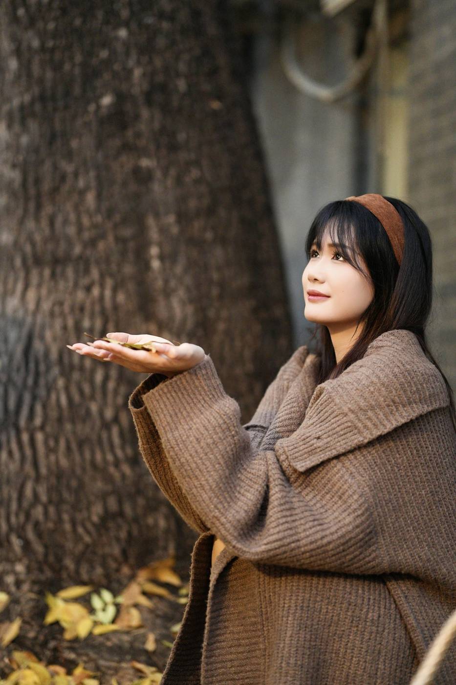 Serena 在自然环境中的照片